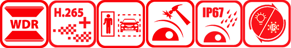 Функциональные особенности DS-2CD2T43G2-4LI