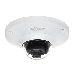 IP видеокамера Dahua DH-IPC-EB5500P IP видеокамера Dahua DH-IPC-EB5500P