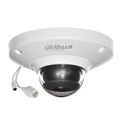 IP видеокамера Dahua DH-IPC-EB5531P IP видеокамера Dahua DH-IPC-EB5531P