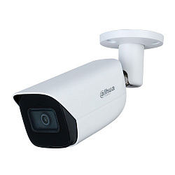 IP видеокамера Dahua DH-IPC-HFW3841E-S-S2 IP видеокамера Dahua DH-IPC-HFW3841E-S-S2