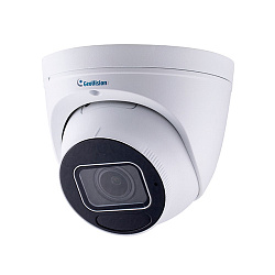 IP видеокамера GeoVision GV-EBD8813 IP видеокамера GeoVision GV-EBD8813