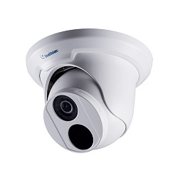 IP видеокамера GeoVision GV-EBD8700 IP видеокамера GeoVision GV-EBD8700